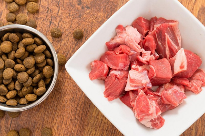 Натуралка для собак мясо