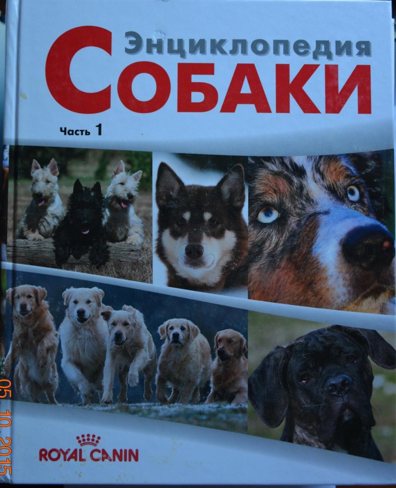 Полис собака