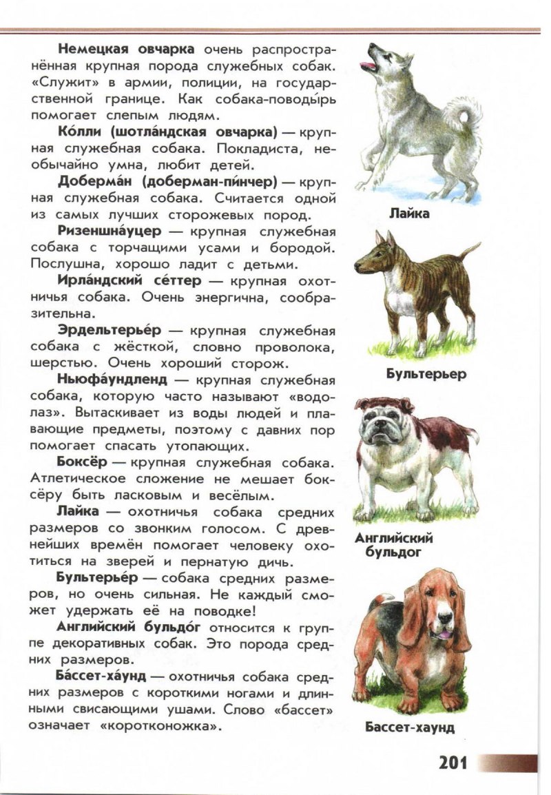 Породы собак Джоан Палмер