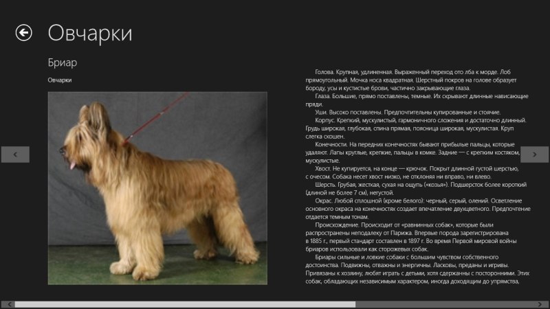 Породы собак с фотографиями и описанием пород