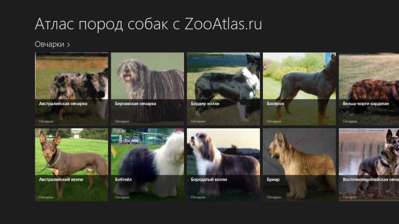 Виды собак