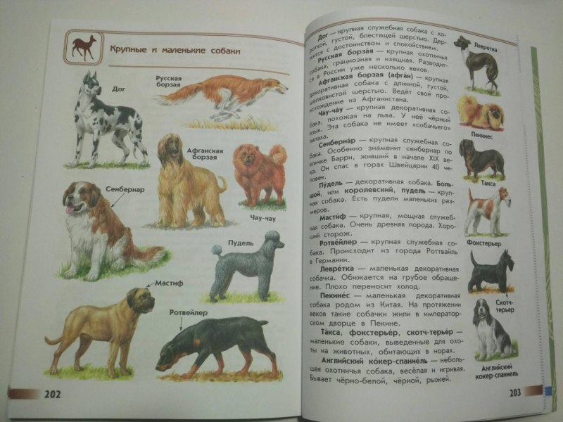 Атлас-определитель от земли до неба 2 класс породы собак