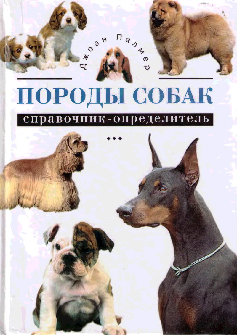 Название собачьих пород