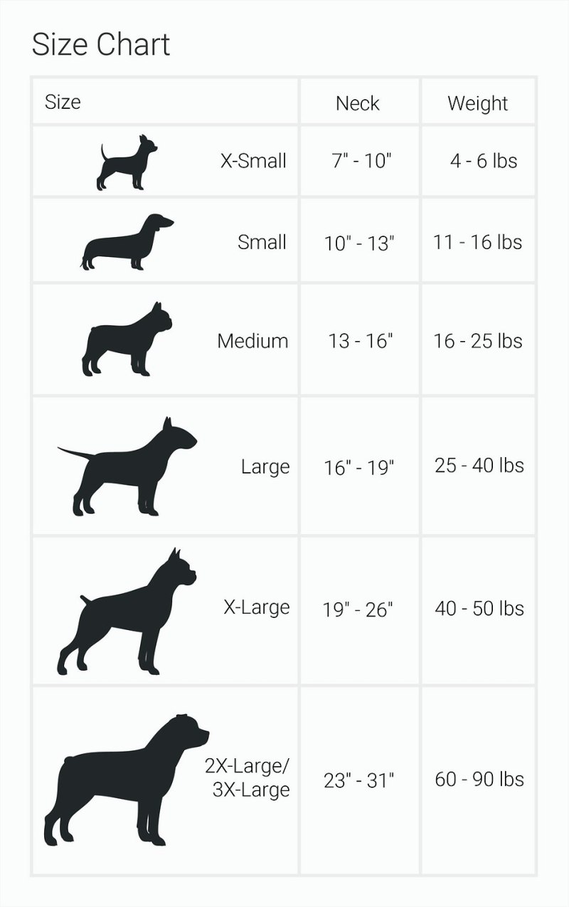 Вес пород собак таблица