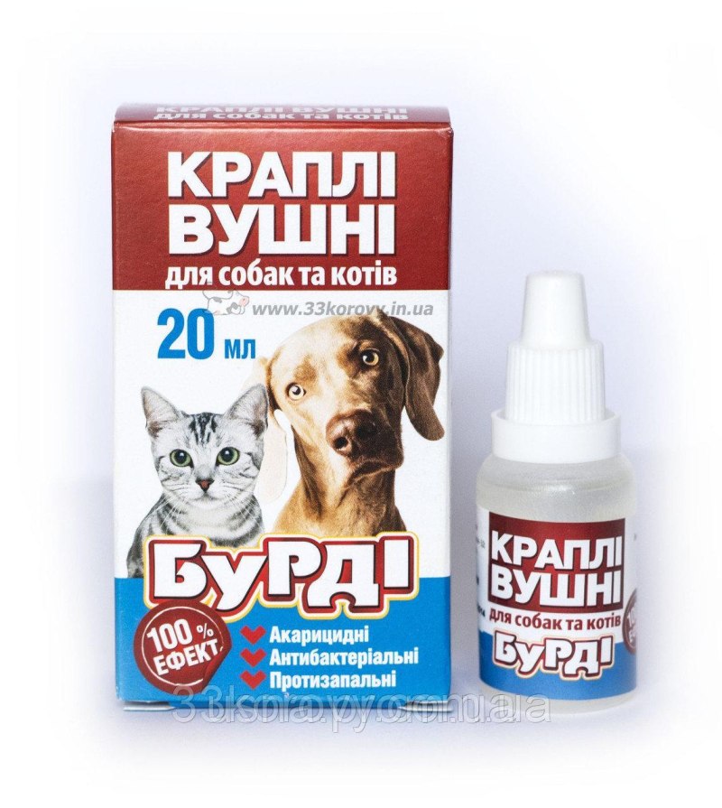 Отодектоз Ветеринария