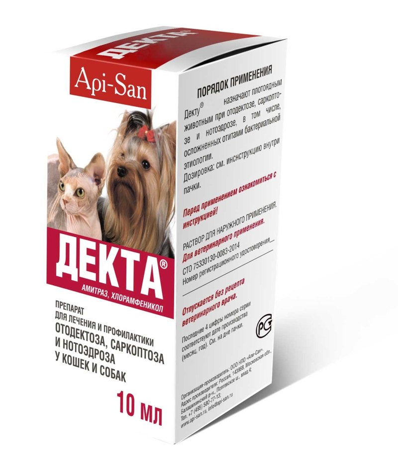 Осмотр собаки