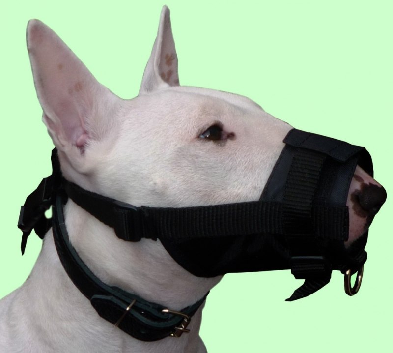 Studded Leather Dog Muzzle Adjustable for Pit bull Terrier Doberman Husky поводок