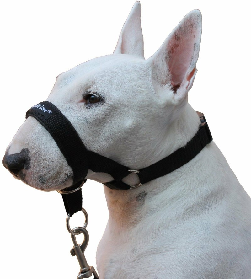 Намордник для бультерьера Collar (06221
