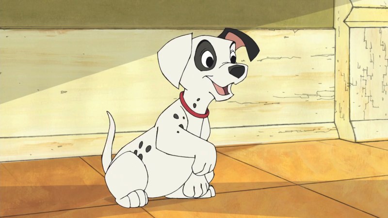 Улица далматинцев, 101 / 101 Dalmatian Street
