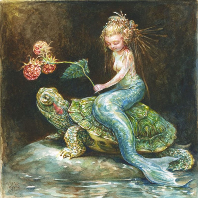 Selkie Ирландия