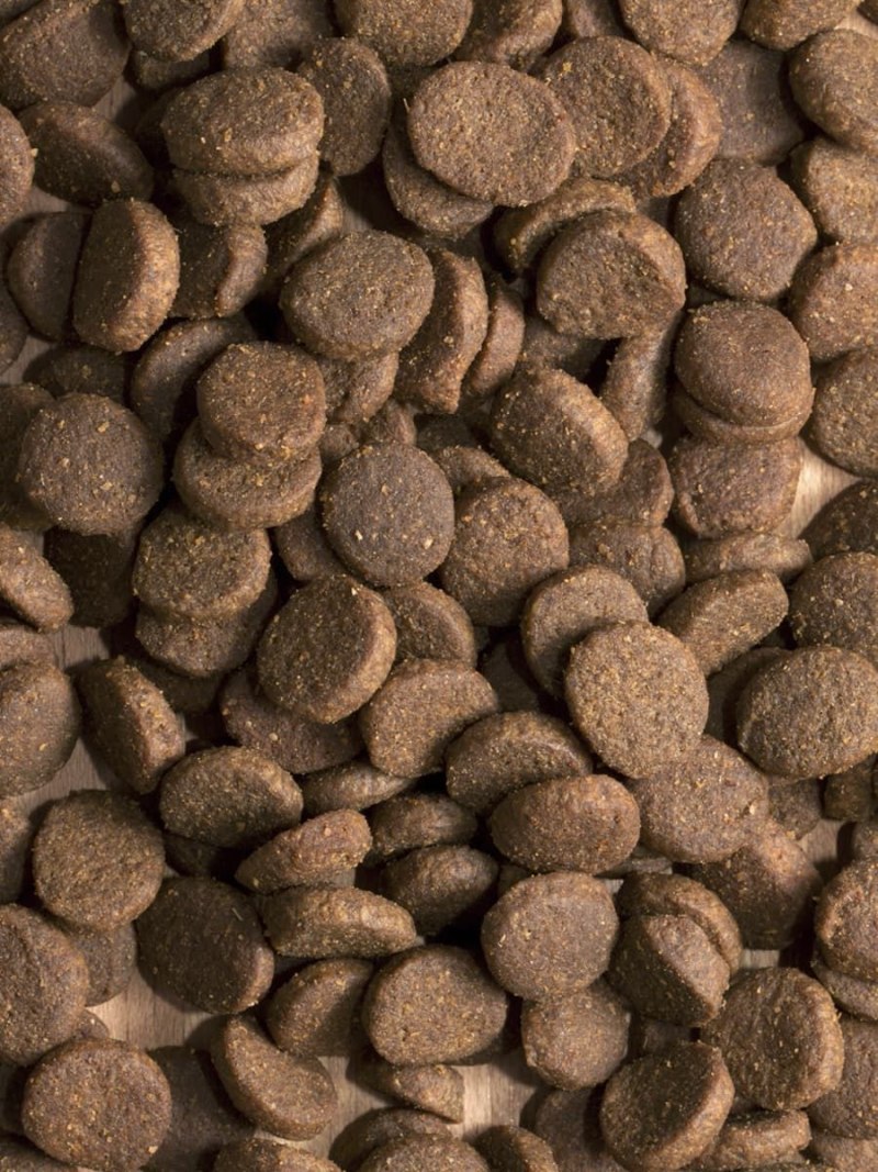 French Dog food