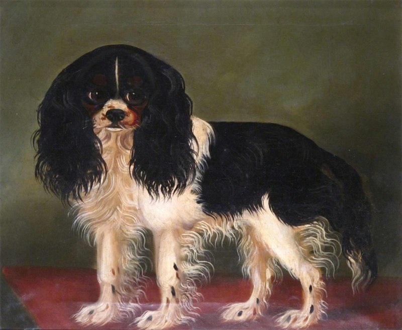 Собака картина 1881