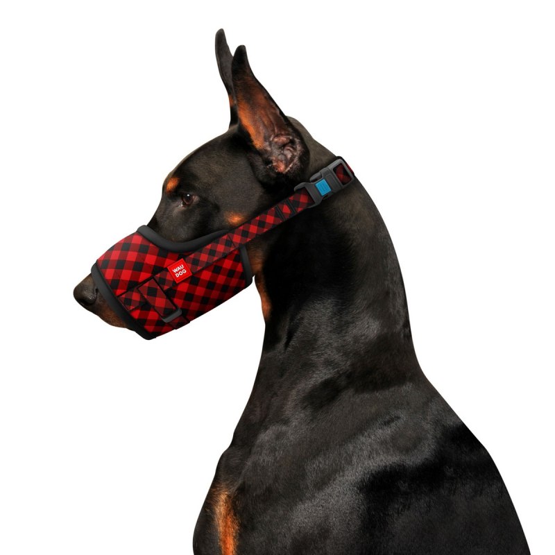 Collar waudog намордник "NASA"