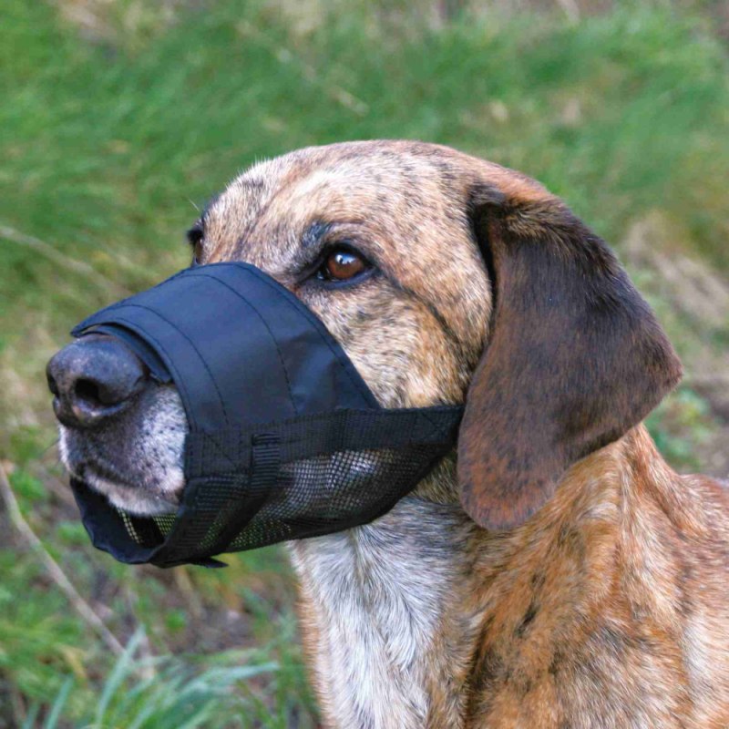 Намордник Trixie Muzzle Flex