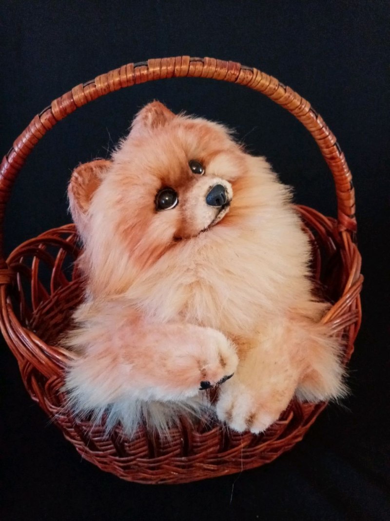 Тримминговочный нож hello Pet 11437
