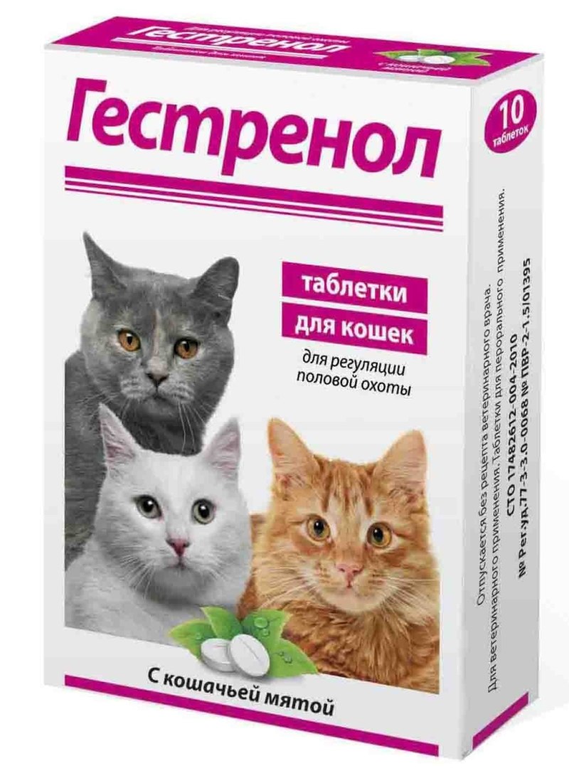 Собака мочится