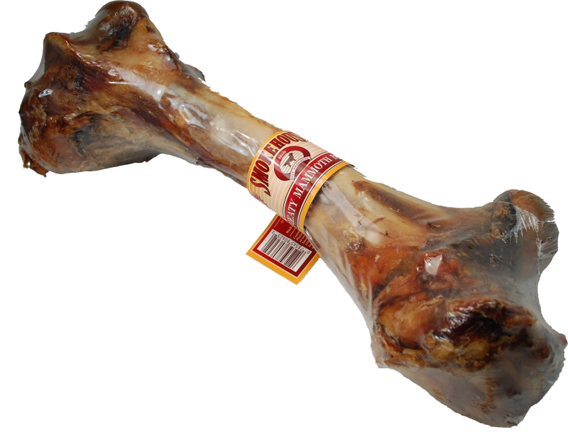 Собачья кость