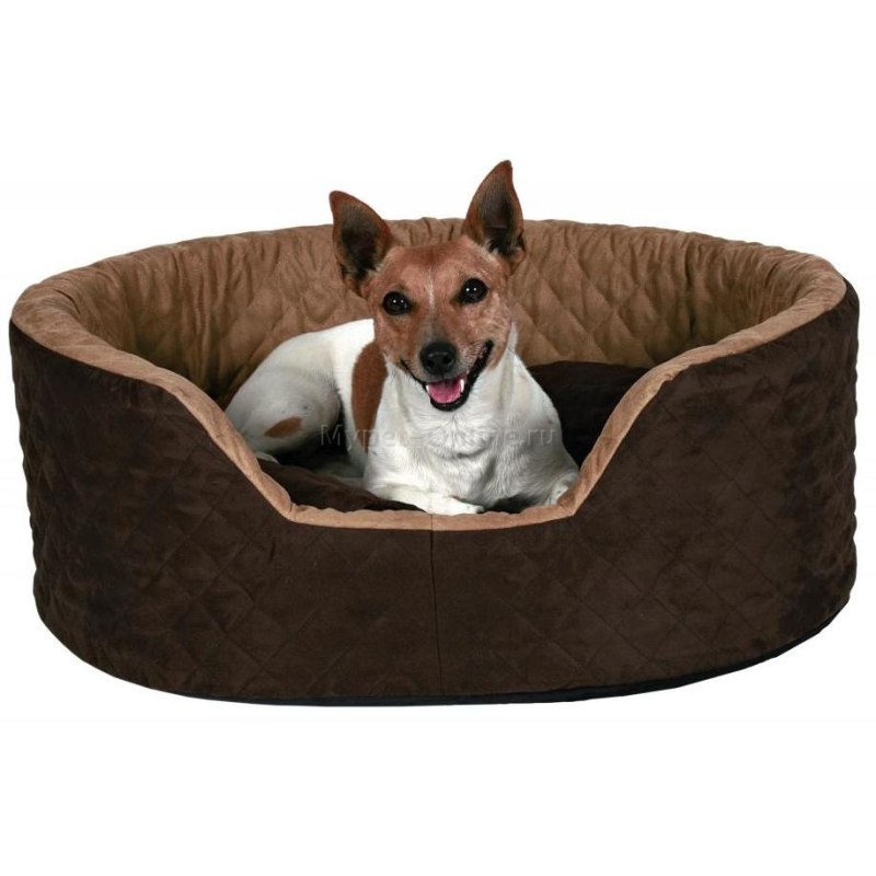 Лежак для собак Trixie Benito Bed 60х45х24 см