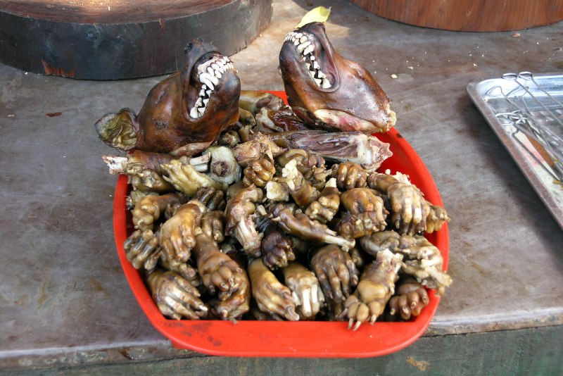 Рынок собачьего мяса в Китае
