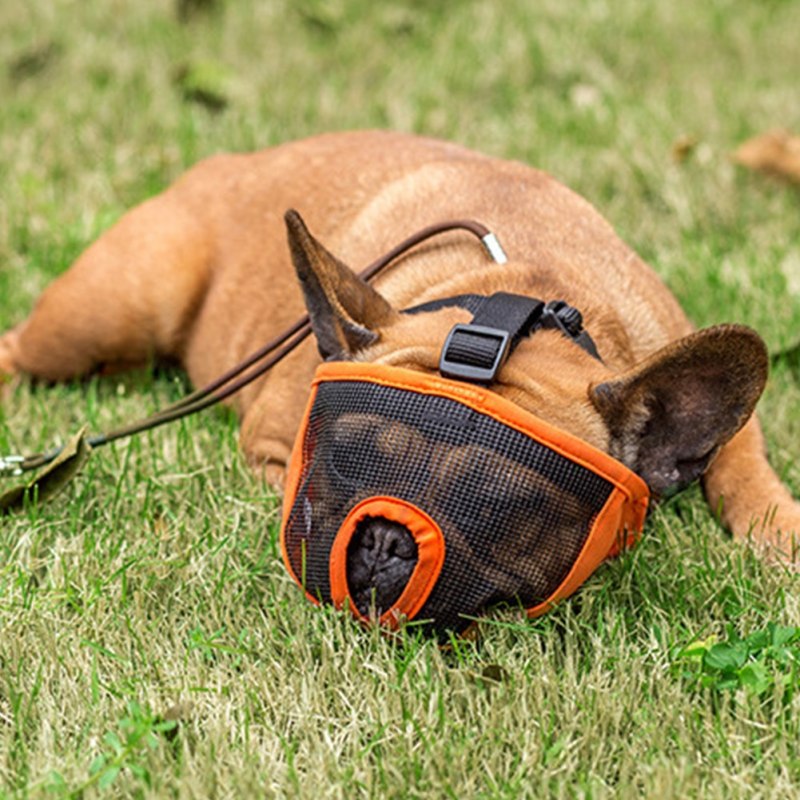 Намордник Trixie Muzzle Flex
