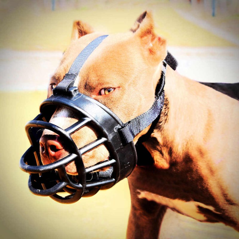 Намордник Trixie Muzzle Flex