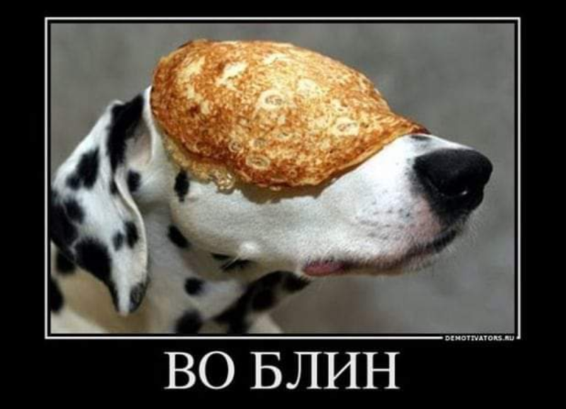 Щенок блин