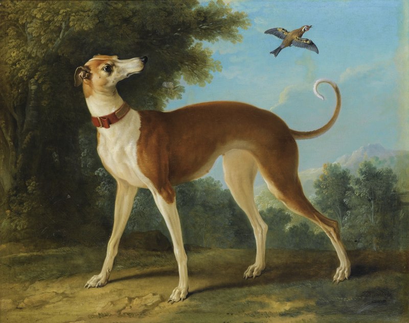 Картины Jean-Baptiste Oudry