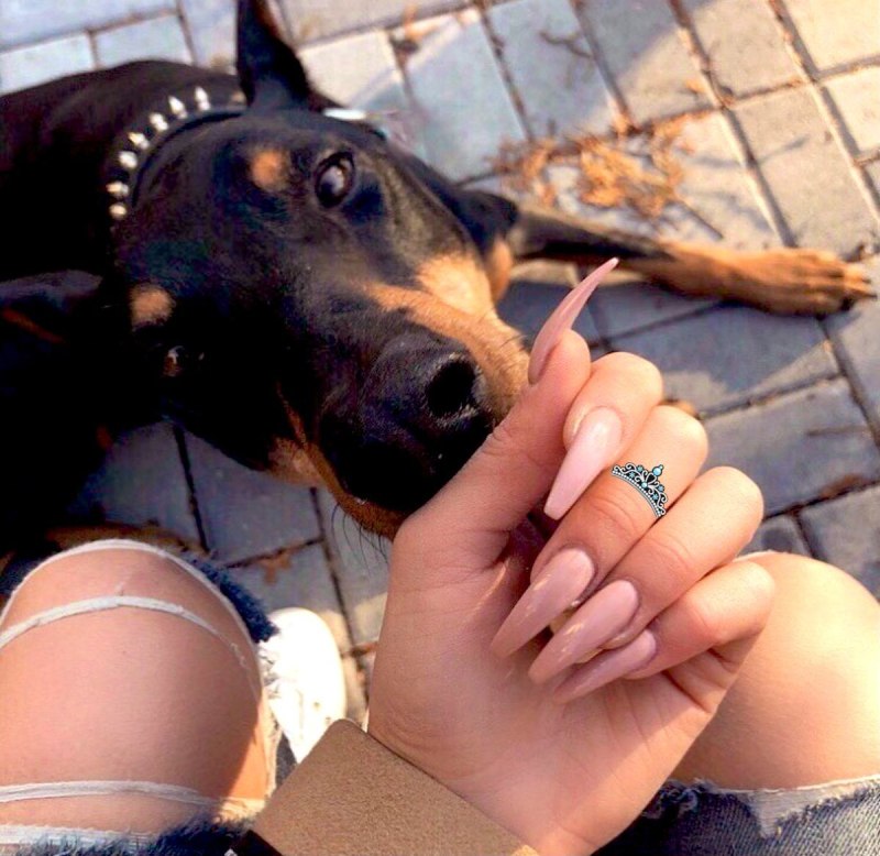 Маникюр с доберманом