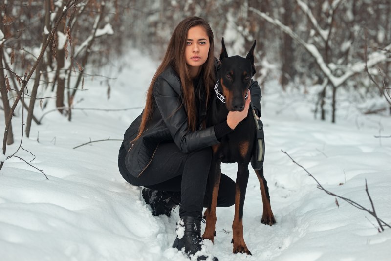 Доберман Дины Саевой