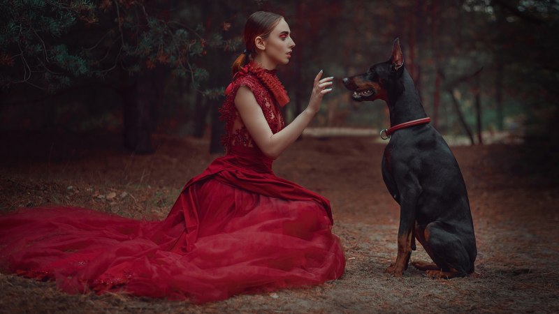 Фотограф Анастасия Добровольская фотосессии с животными