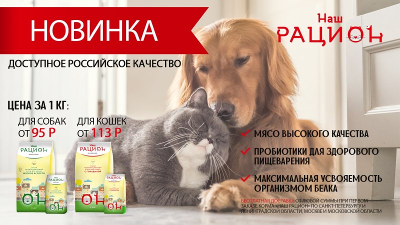 Корм рацион для кошек состав