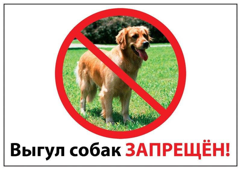 Табличка выгул собак запрещен