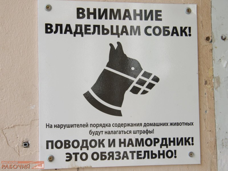 Объявление о выгуле собак в намордниках