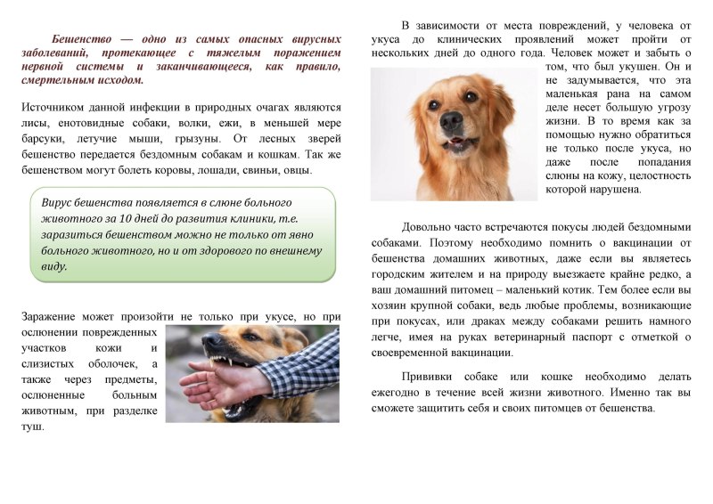 Маска пес