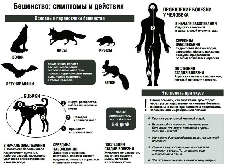 Наиболее характерные симптомы бешенства