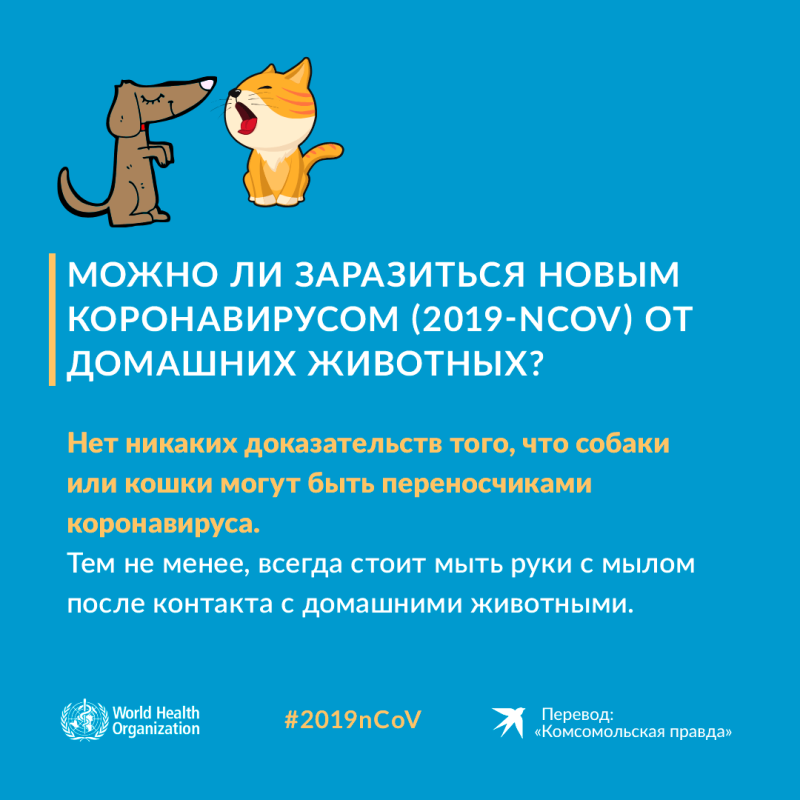 Стригущийлешайу собак