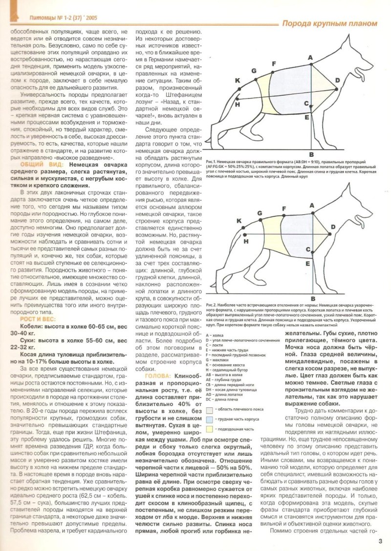 Немецкие овчарки плюсы