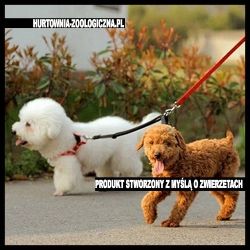 Собачка с поводком