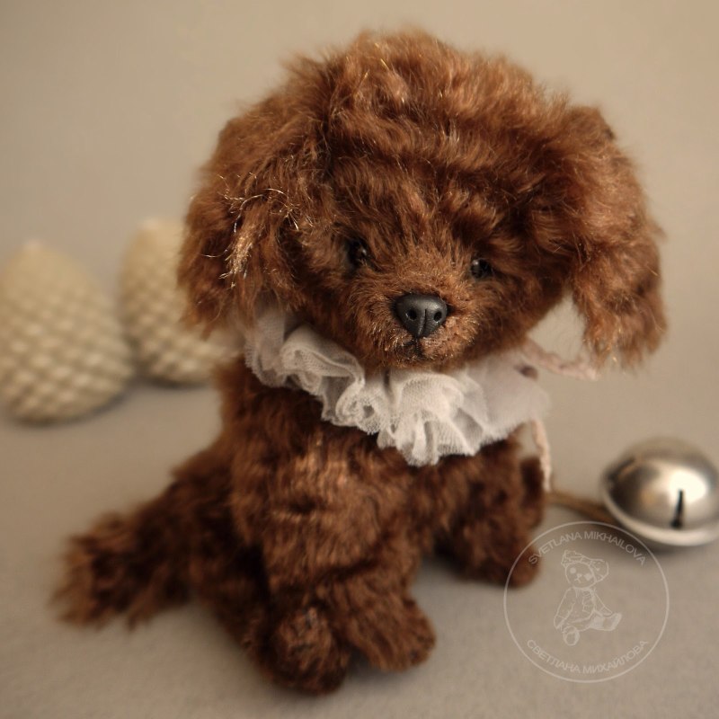 Teddy собачка