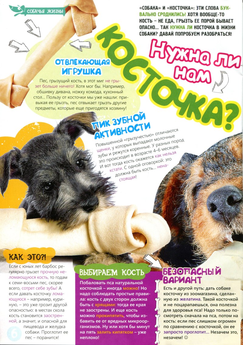 Самая большая кость для собак