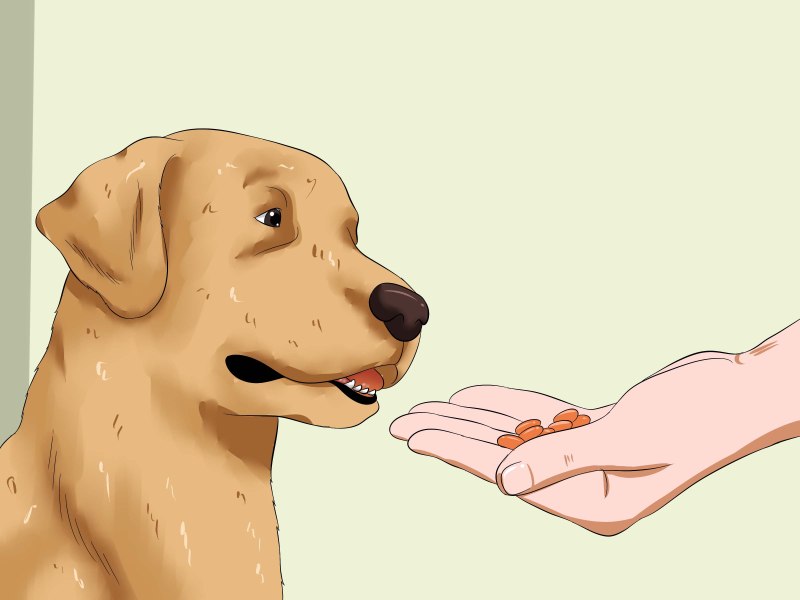 Трубчатые куриные кости