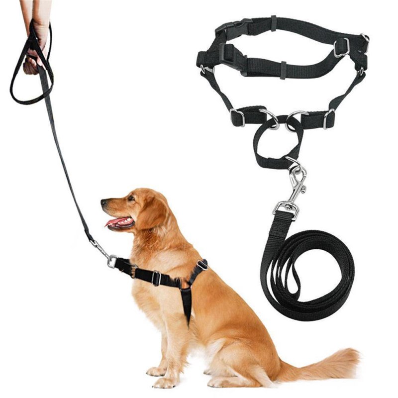 Ошейник Garmin t5 Collar Rus
