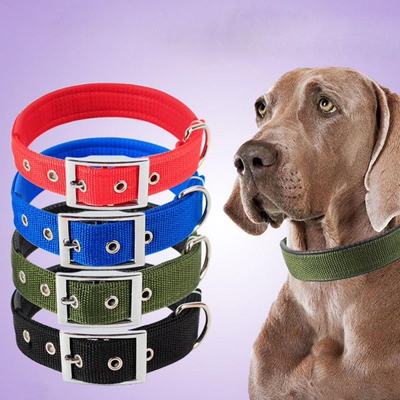 Ошейник Turbo Dogs