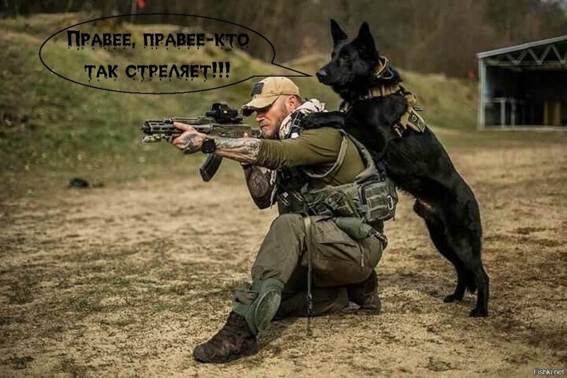 Овчарки в спецназе