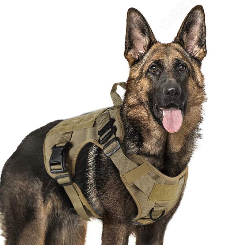 Police k9 шлейка Доберман