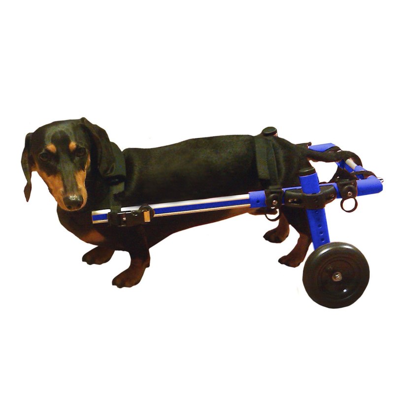 Dog Care инвалидная коляска
