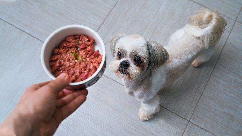 Каши Puppy