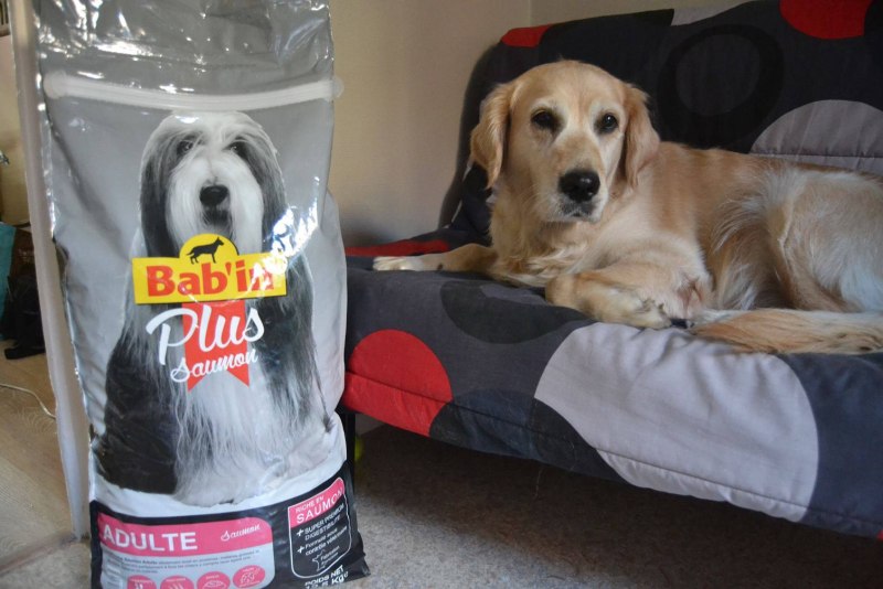 Корм для собак Labrador Retriever