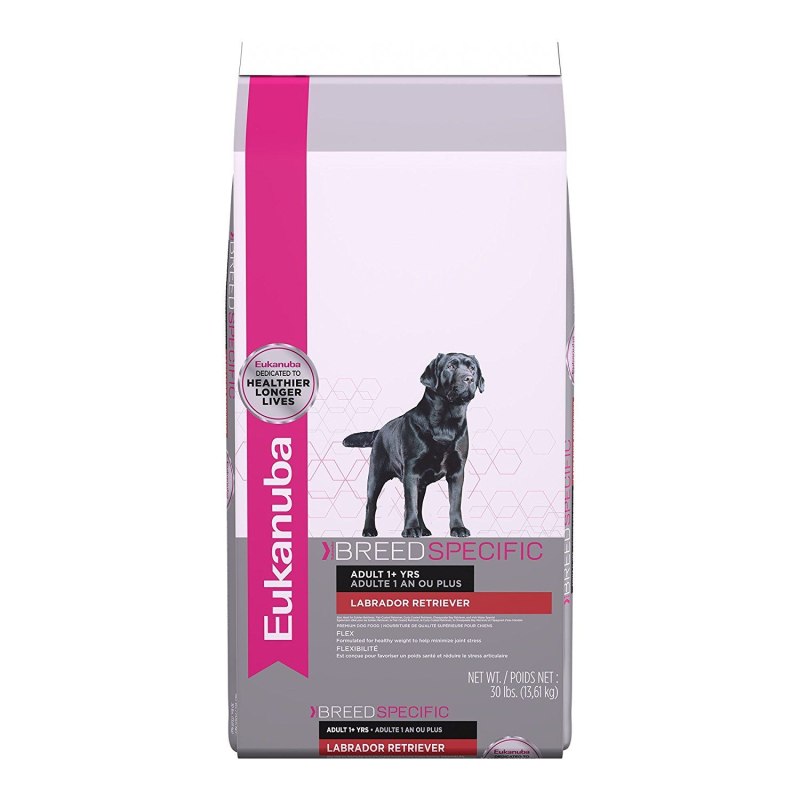 Eukanuba Labrador Retriever