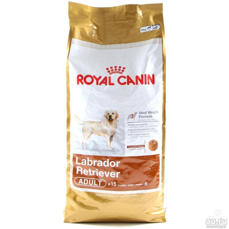 Корм для кошек Royal Canin Bengal